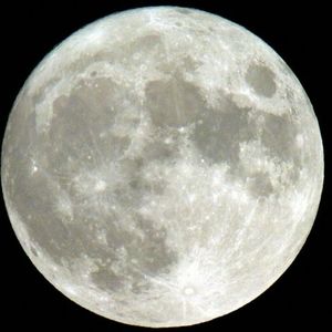 Meet your Posher, Joanie